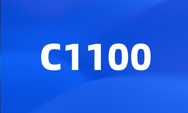 C1100