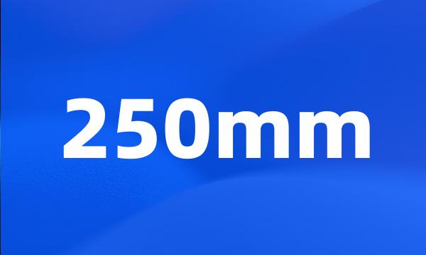 250mm