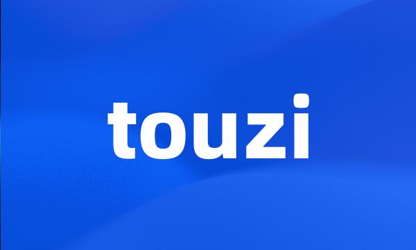 touzi