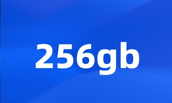 256gb