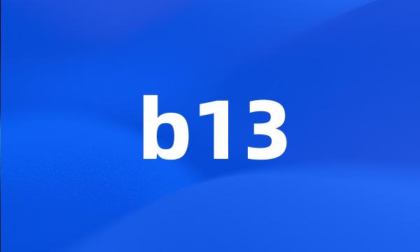 b13