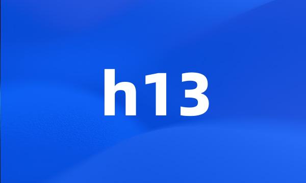 h13