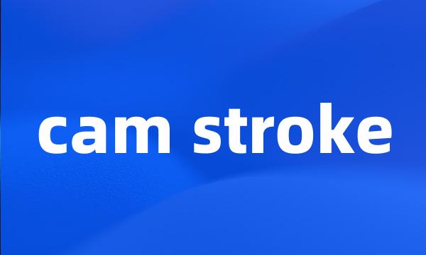 cam stroke