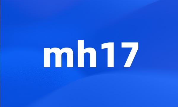 mh17