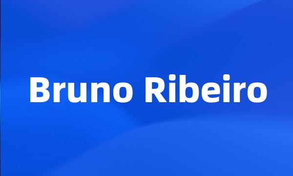 Bruno Ribeiro