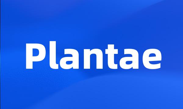 Plantae