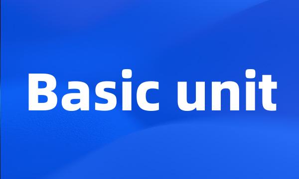 Basic unit