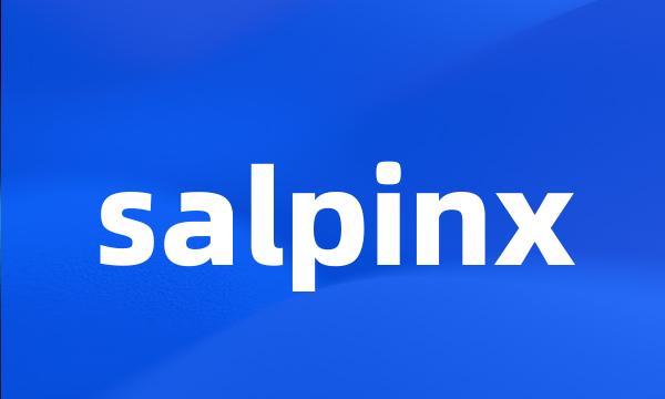 salpinx