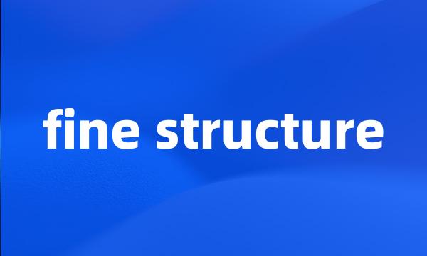 fine structure