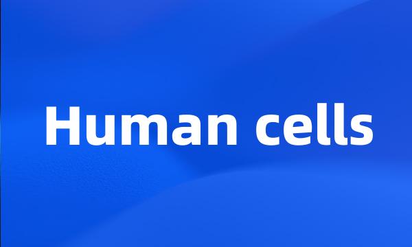 Human cells