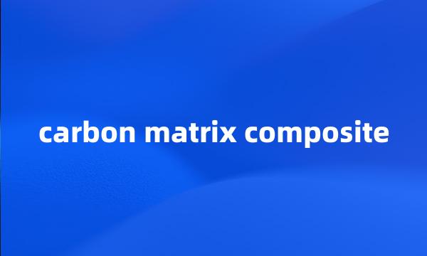 carbon matrix composite