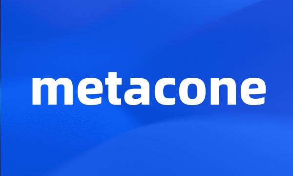 metacone