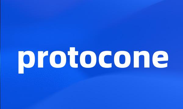 protocone