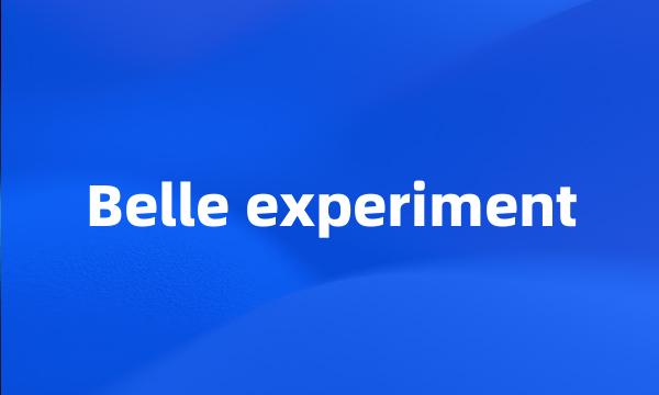 Belle experiment