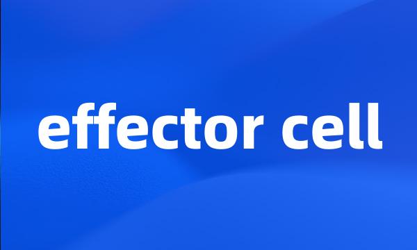 effector cell