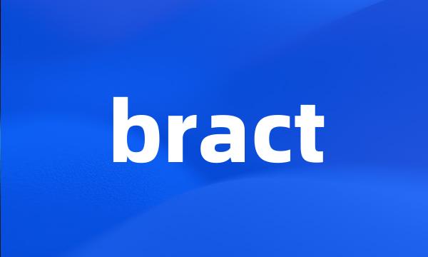 bract