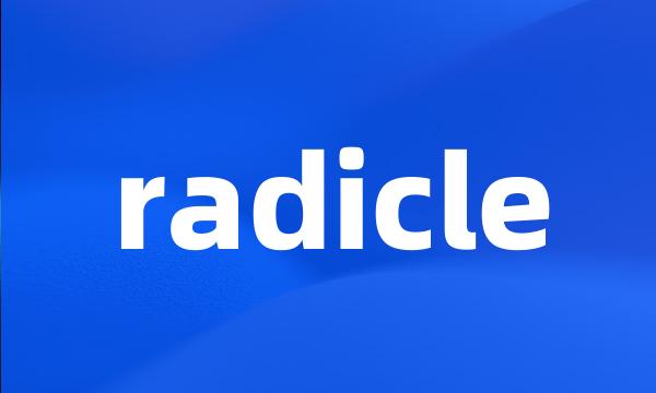 radicle