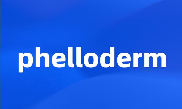 phelloderm