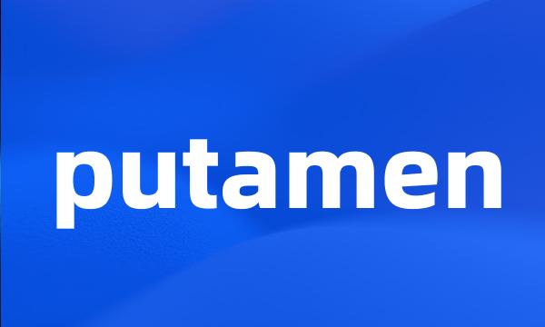 putamen