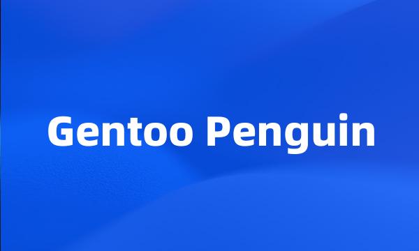 Gentoo Penguin