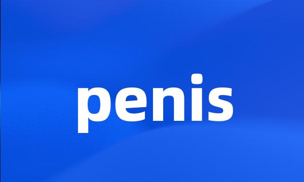 penis