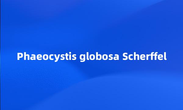 Phaeocystis globosa Scherffel