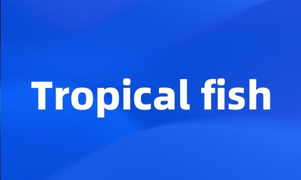 Tropical fish