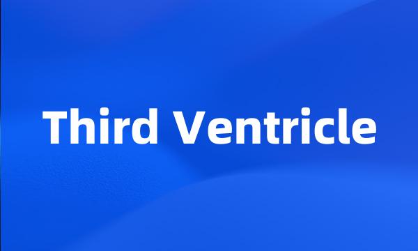 Third Ventricle