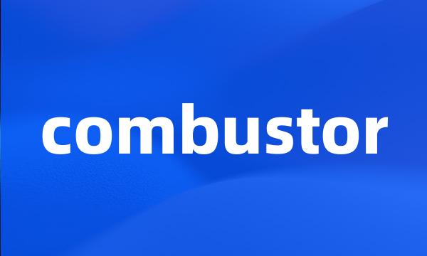 combustor