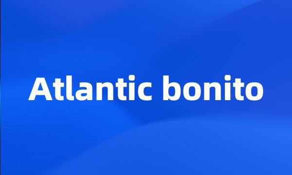 Atlantic bonito