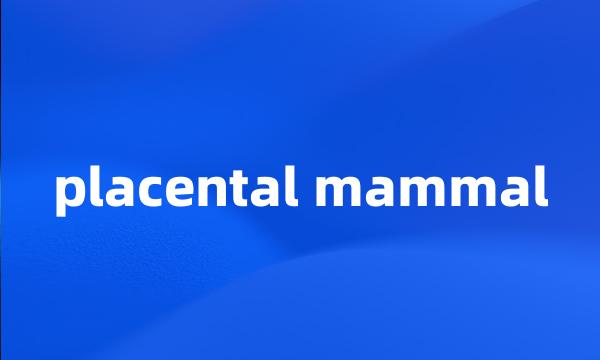 placental mammal