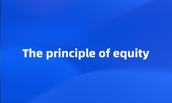 The principle of equity