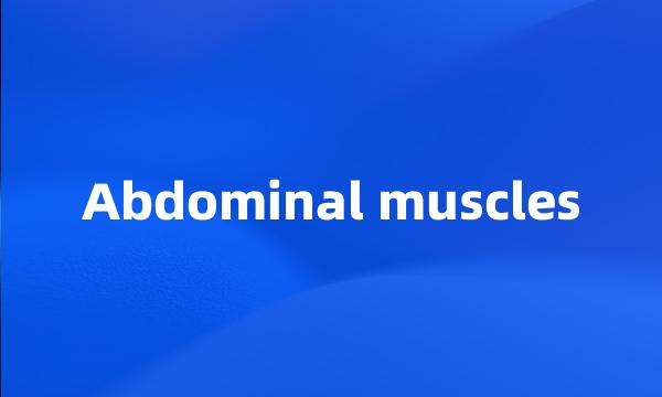 Abdominal muscles