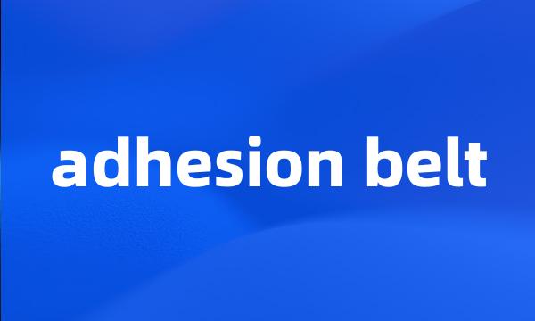 adhesion belt