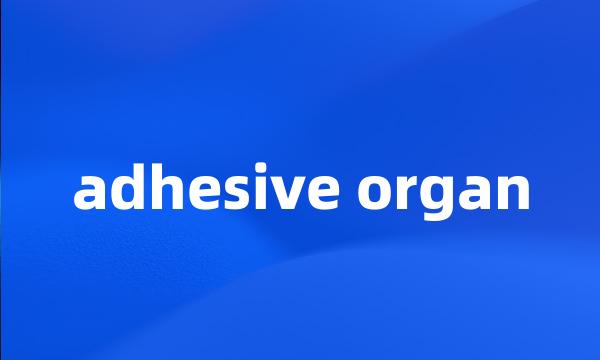 adhesive organ