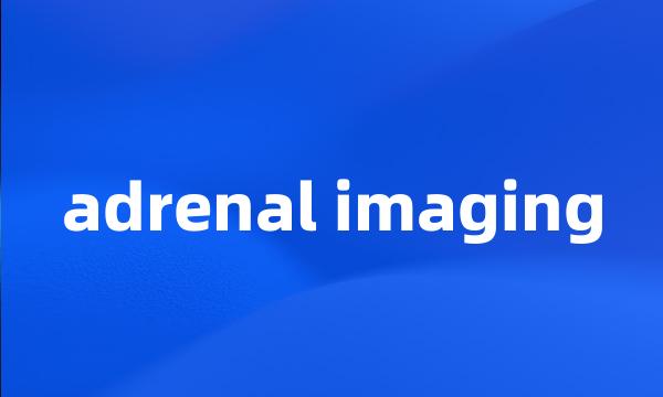 adrenal imaging