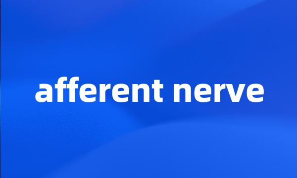 afferent nerve