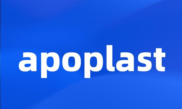 apoplast