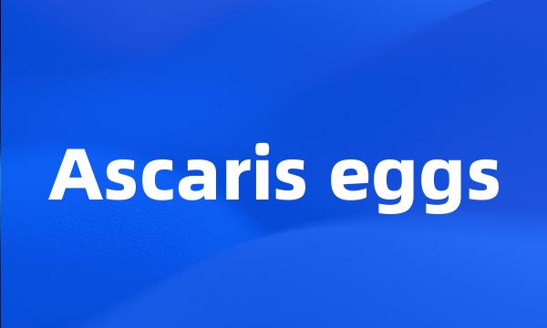 Ascaris eggs