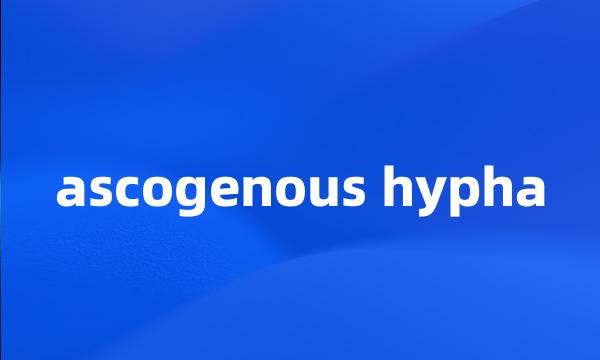 ascogenous hypha