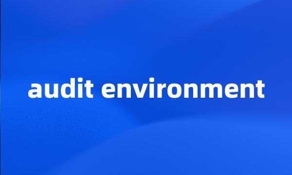 audit environment