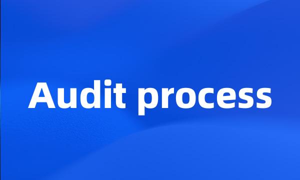 Audit process