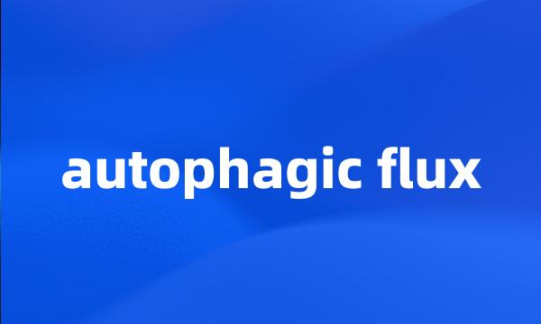 autophagic flux