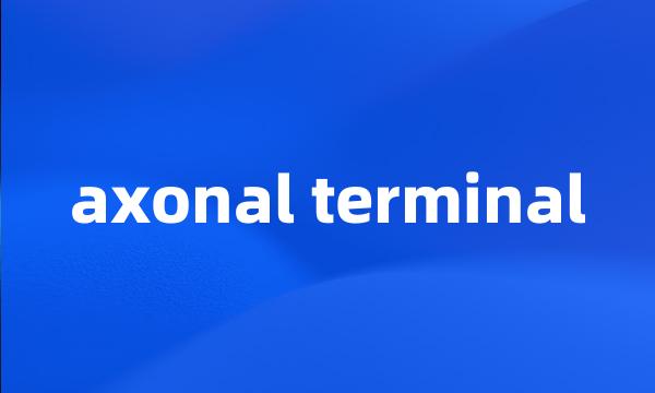 axonal terminal