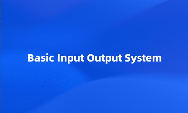 Basic Input Output System