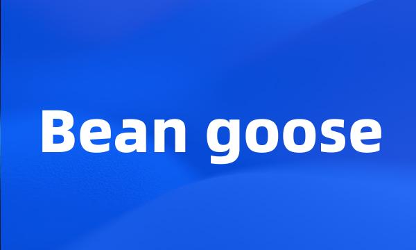 Bean goose