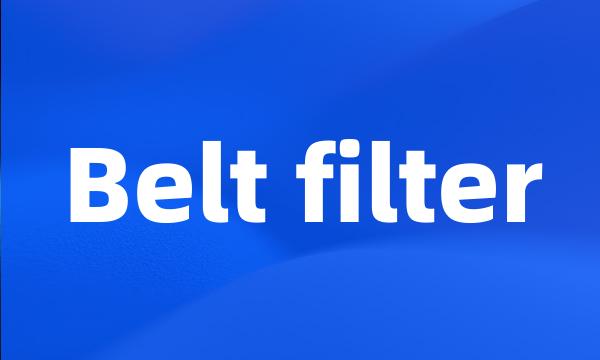 Belt filter