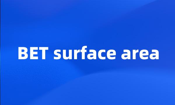 BET surface area