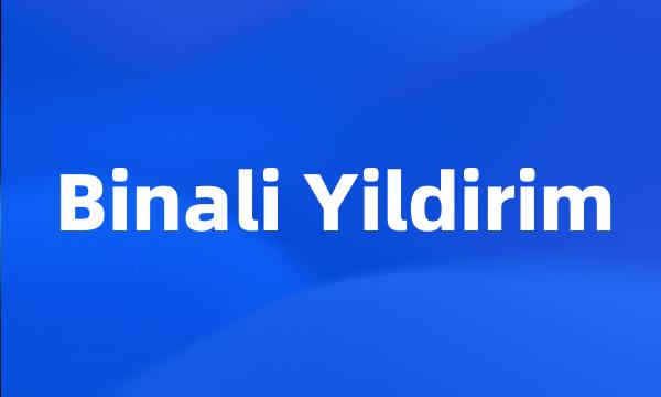 Binali Yildirim