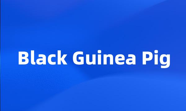 Black Guinea Pig